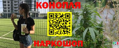 PSILOCYBIN Камышлов