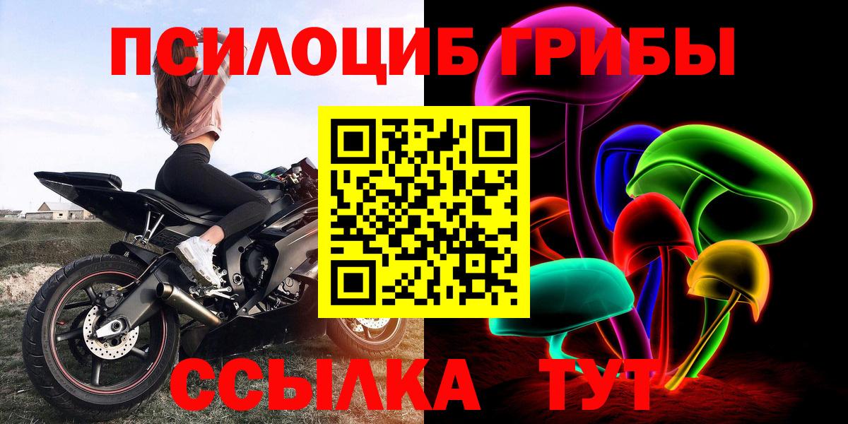 Псилоцибиновые грибы GOLDEN TEACHER Кувандык